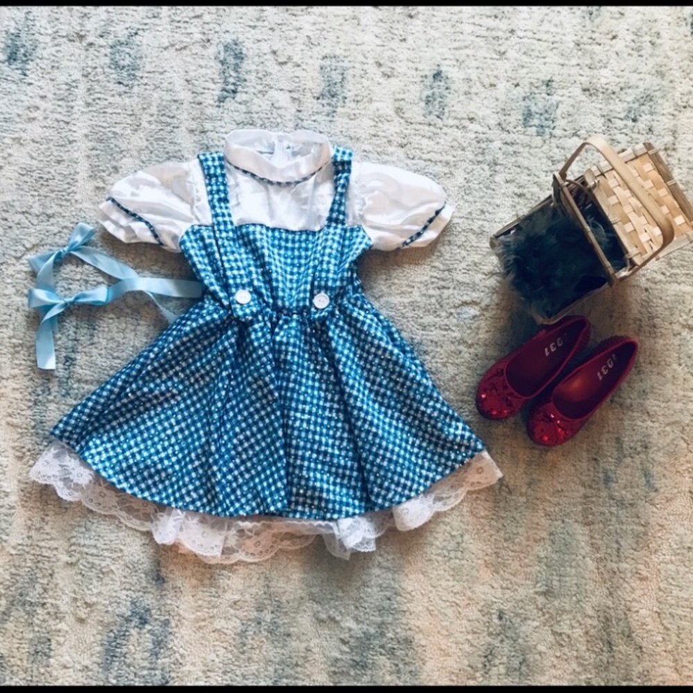 Wizard of Oz Dorothy costume- complete with Toto